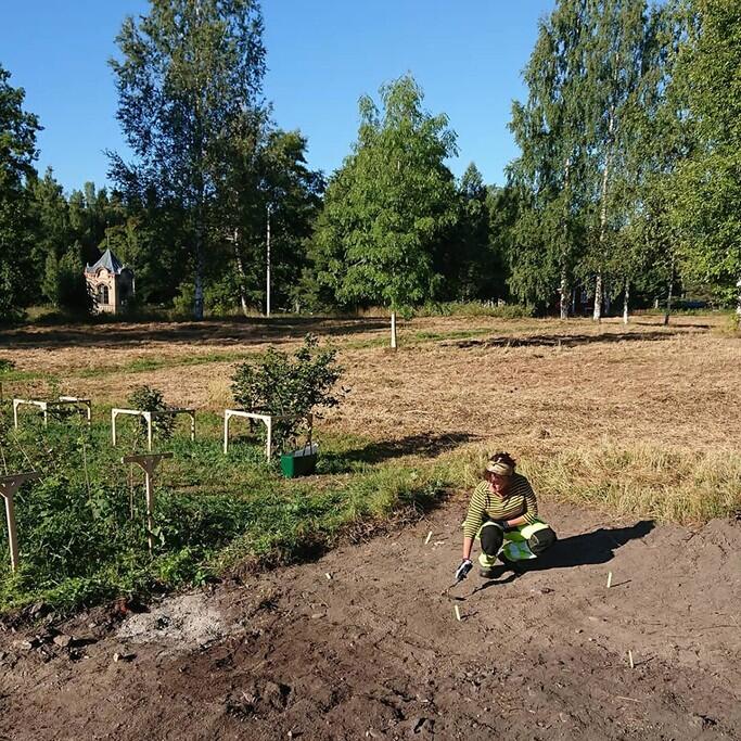 Arkeologisk utgrävning i trädgården, Inga Blennå.