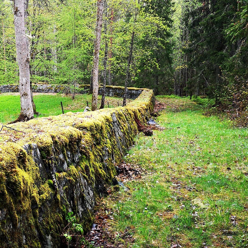Stenmuren som omger engelska parken, Aja Axlund